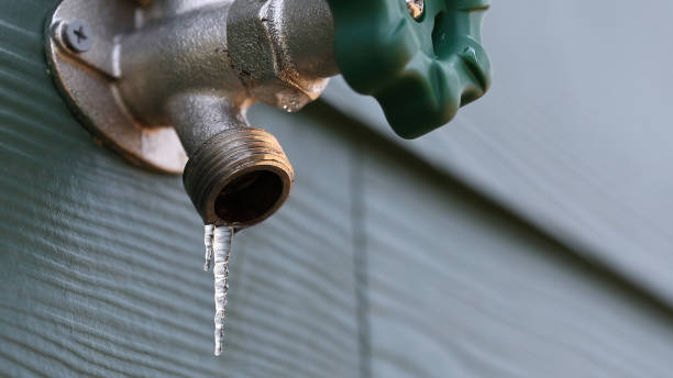 Best Drain Cleaning Services  in Raynham Center, MA